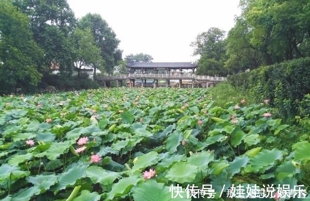 寺庙|因为一部电视剧，成为家喻户晓的一所寺庙，它就是金山寺