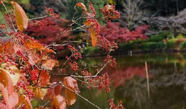 做人,不可好高骛远,更不可小看自己