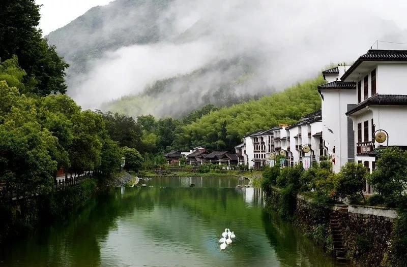 泰顺岭北冬意浓，村尾五古正当红|古村行记 | 廊桥