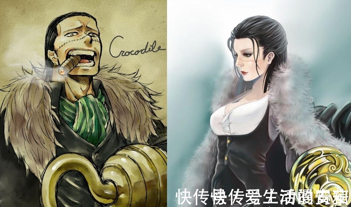 路飞|来自尾田的暗示:鸟飞了? 原七武海克洛克达尔真实身份盘点