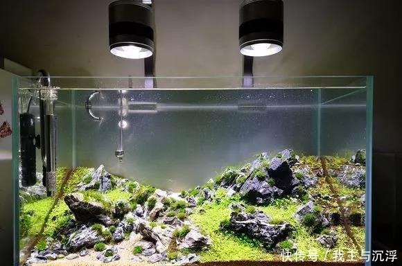 两种天然养花水,碰上就别错过,换着给花浇水,新芽呼呼冒!