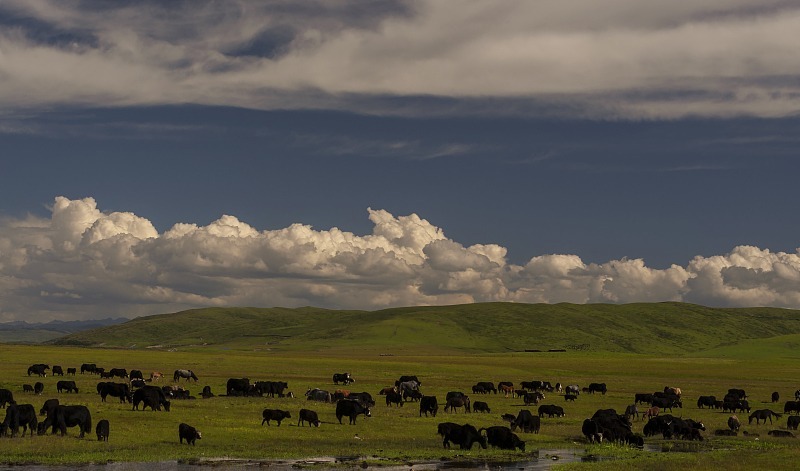 元朝|黄河的源头在哪里唐太宗时,他就派人寻找过黄河源头