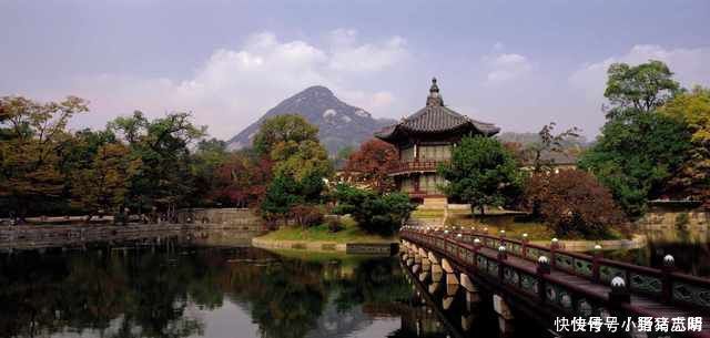 中年|中国大妈去韩国旅游,想买30斤泡菜回国,却被导游极力阻止