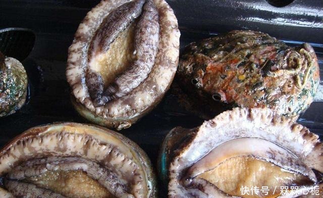 海鲜|头一次去买鲍鱼,老板问要几头,我竟一脸懵!结果瞎猫碰上死耗子