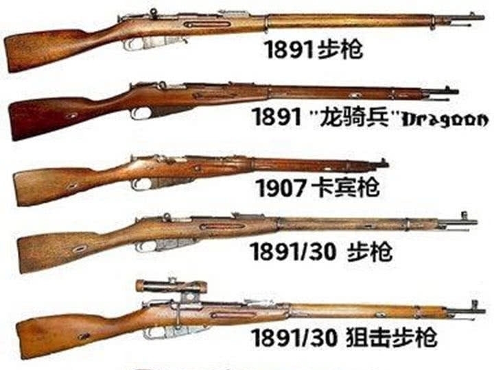 信奉|信奉丛林法则危害很大,是造成无数次人间惨剧的罪魁祸首,要相信团结友爱