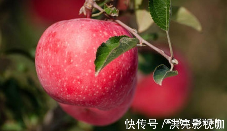 苹果|晚上吃苹果，对健康是利是弊很多人不清楚，为了健康应了解清楚