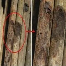 你家卫生间漏水了,怎么办?
