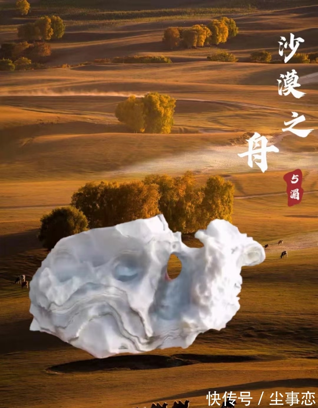 狐狸石$这个女石友可以靠颜值,却偏要玩石头,就连收藏的狐狸石也很妩媚