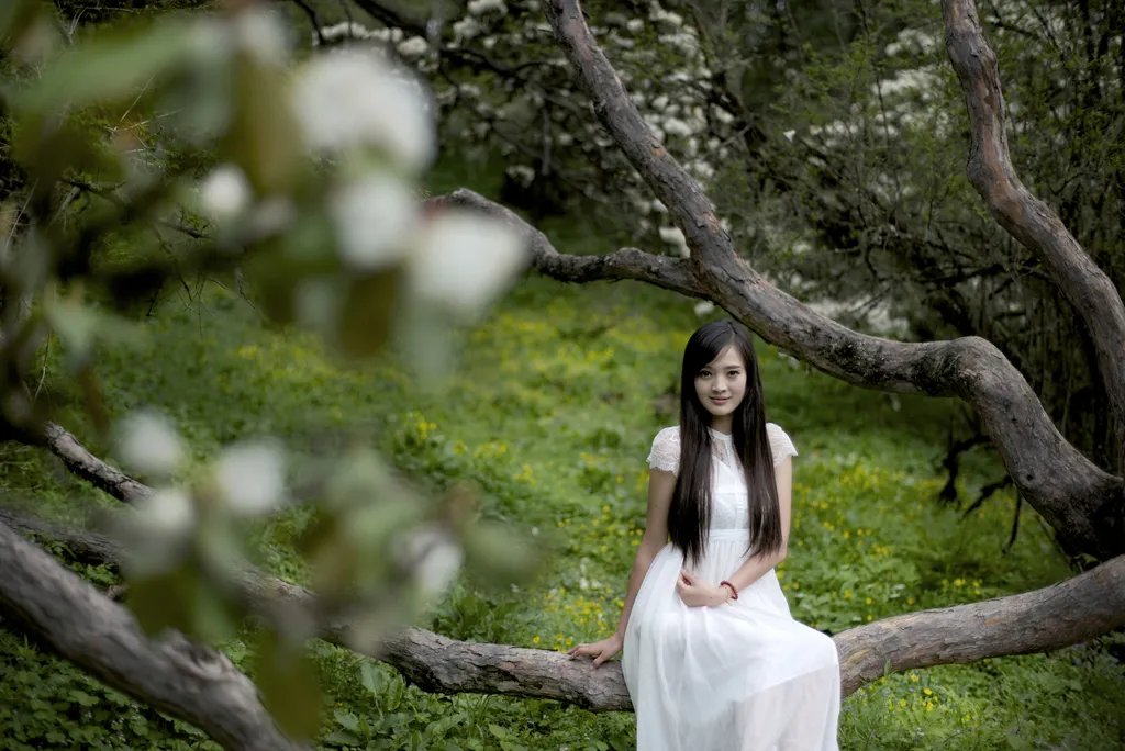 冯蕊|诗朗诵：雾里觉醒