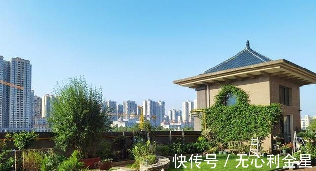 矾根|为了300㎡露台花园，毫不犹豫买了这房子，在城市屋顶过上田园生活！