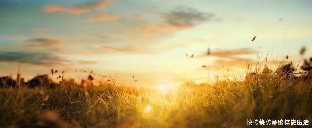 蜀道难&天下第一骈文,全文773字包含40个成语,句句都是绝唱