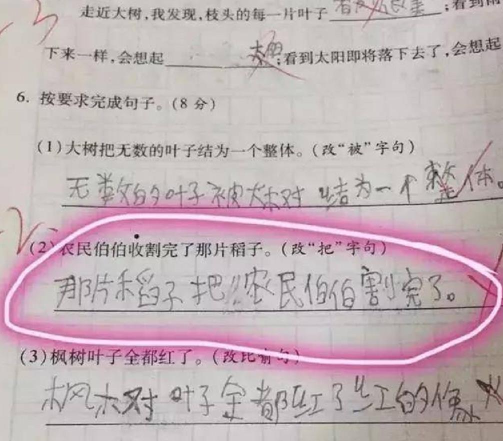 创造力|小学生“0分试卷”火了，老师：脑洞超越地球人，我教不了了