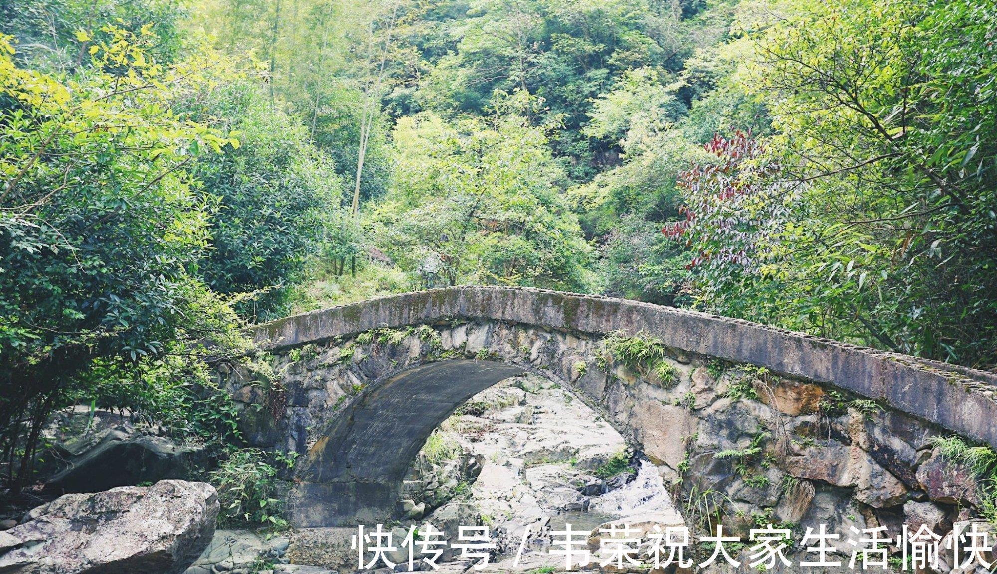 桃花溪#张旭借桃花源意境,写下一首空灵新颖的佳作,被选入唐诗三百首