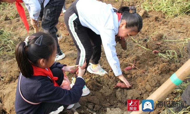 新闻记者&弘扬传承优秀文化 体验亲近美好自然——泰山大安小学积极开展学生劳动实践教育