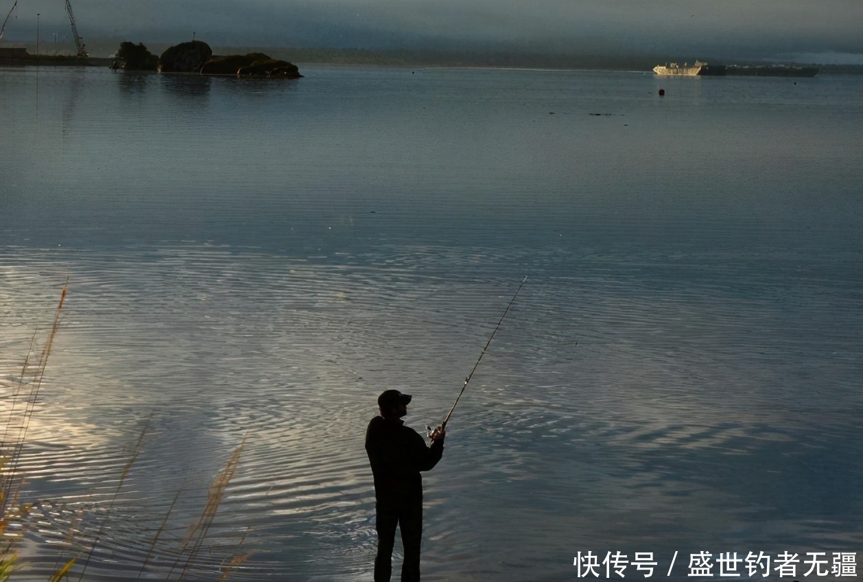 漂相该怎么看?实拍鱼吃饵的动作,轻松掌握提竿时机——盛世三渔