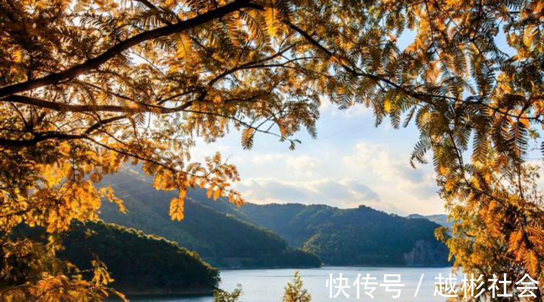 徐玑$宋朝诗人徐玑这首《秋行》,通篇表现手法高超,也是难得的佳作!