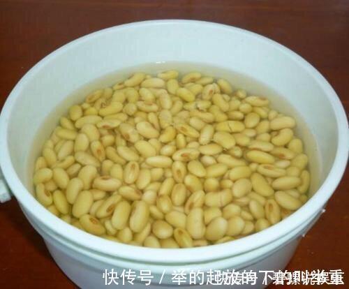 虎皮兰|虎皮兰施什么肥2种东西丢盆里，一年不用施肥，叶厚油绿新芽多