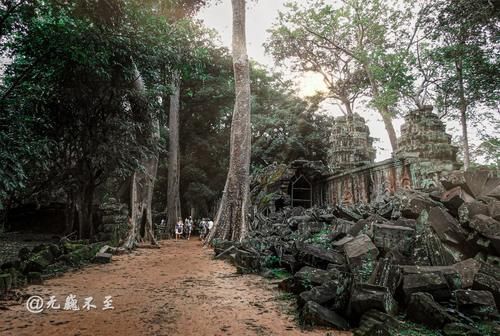 中年|塔布隆寺——古树与神庙的爱恨情仇，化作生死相依的永世缠绵