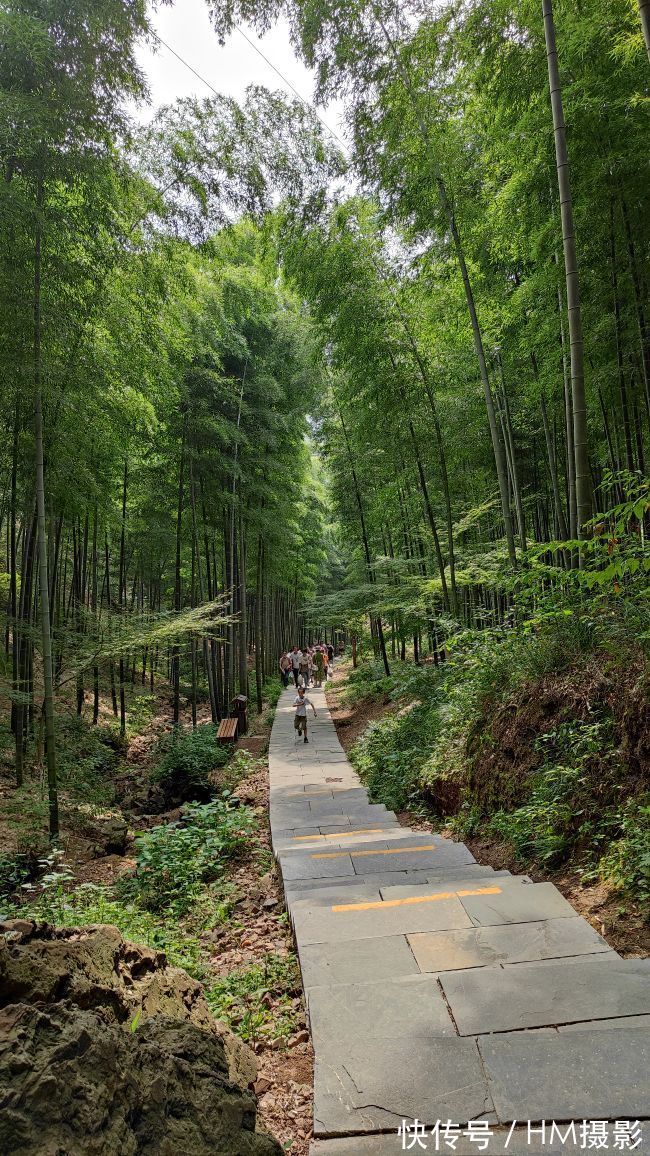 免费|南山竹海9月免费季