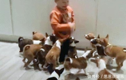 孩子|妈妈在厨房听到孩子在大叫,出来一看,顿时就笑的肚子痛