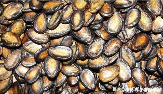 甲状腺激素|家里有老人失眠的,1种叶子煮茶5分钟,养心助眠,睡得舒舒服服