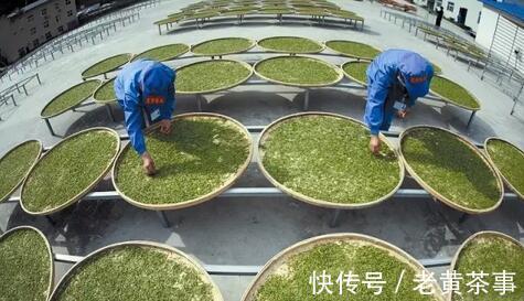 看完这六点,玩转“祁红”、“滇红”不是事!