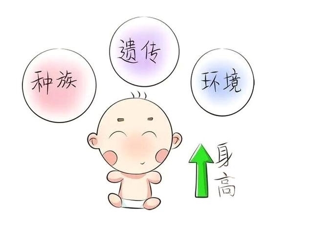 身高|都说养儿日日新,新在哪呢?长个子呗