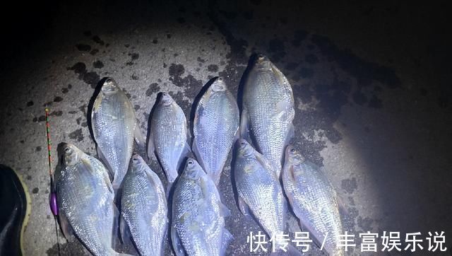 钓友|野钓鳊鱼时的实践技巧,老钓友详细讲解,非常实用