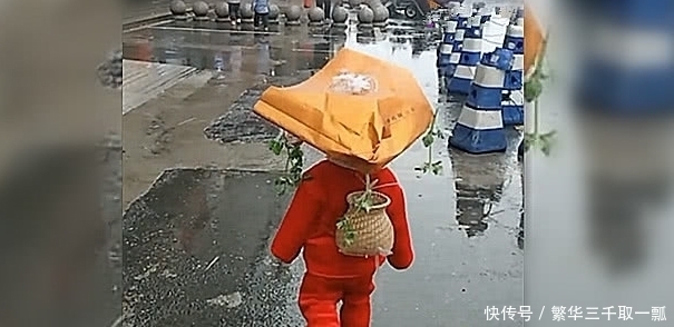 孙子|雨天宝宝非要出去耍,然后就成了这样,网友:要“登基”啊!