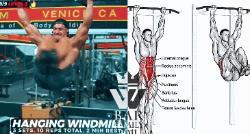 动作|练下腹肌最有效的动作,5级悬垂举腿,你能做到哪一级?