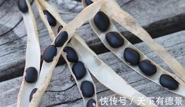 米醋|黑豆加以下2种料,解毒、改善糖尿病效果降血糖,身体越来越健康