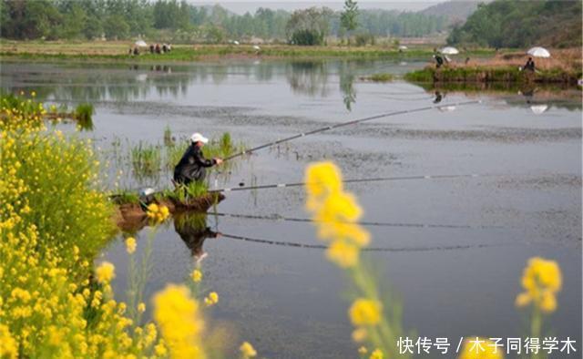 春钓大鲫如“赶场”，不同水面出鱼时机不同，选准时机比技术重要