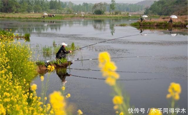 春钓大鲫如“赶场”,不同水面出鱼时机不同,选准时机比技术重要