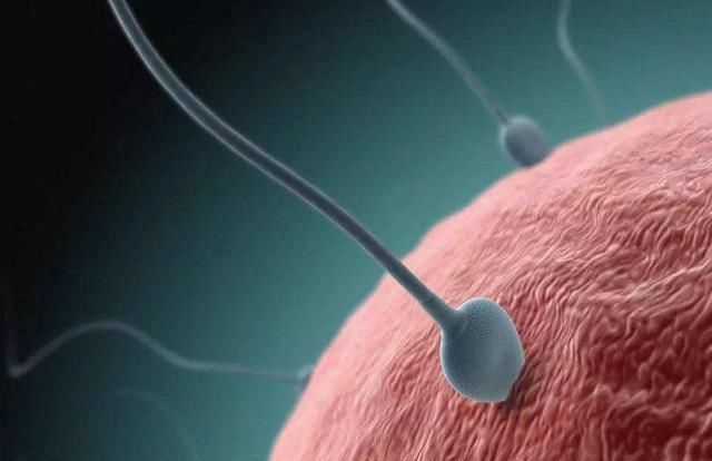 不孕|老婆35岁还不孕,丈夫去医院一查才醒悟,自己这件事做得太多了