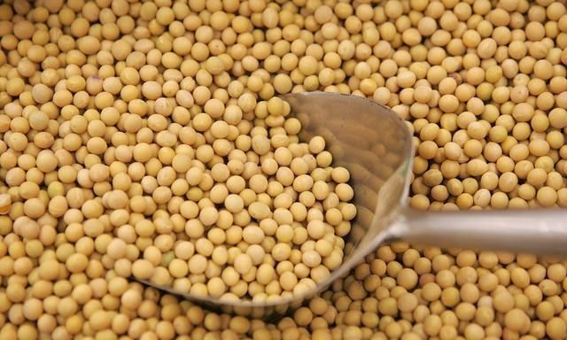 明日惊蛰,传统习俗除了吃梨,还要吃这6种美食,你都知道吗?