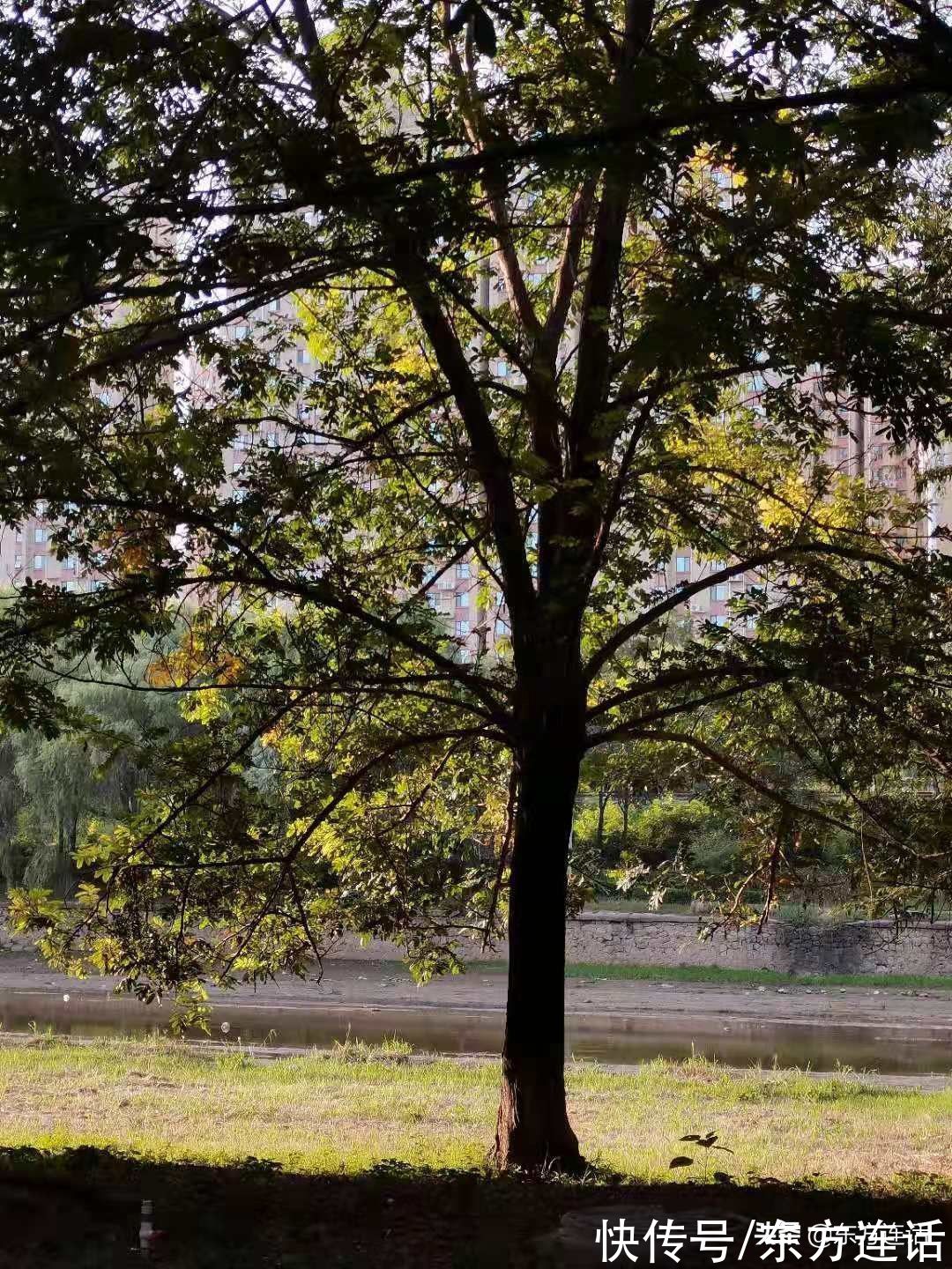 跑步|跑步笔记：跑步的女人