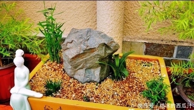 用石头盘子来养花，变成小盆景，价值能翻好几倍
