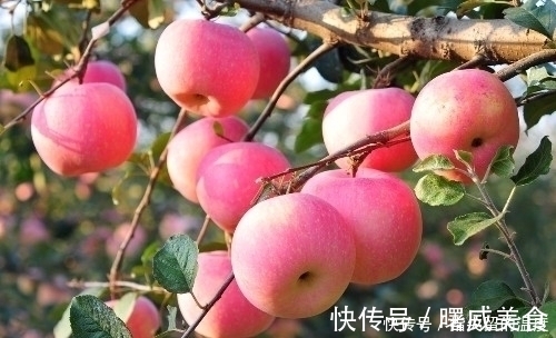 草木|人活一世,草木一秋!最新长寿方法,喝茶排13,排第一的是它!