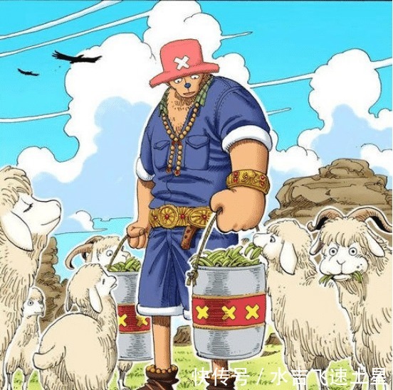 海贼王|海贼王扉页故事之乔巴虽然我很小，但是我很厉害