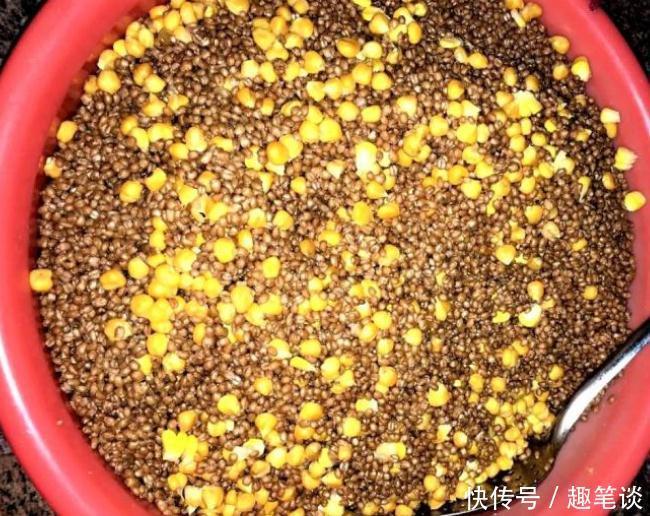 窝子|野钓经验谈之九 野钓鱼获看打窝 打窝也能打死窝