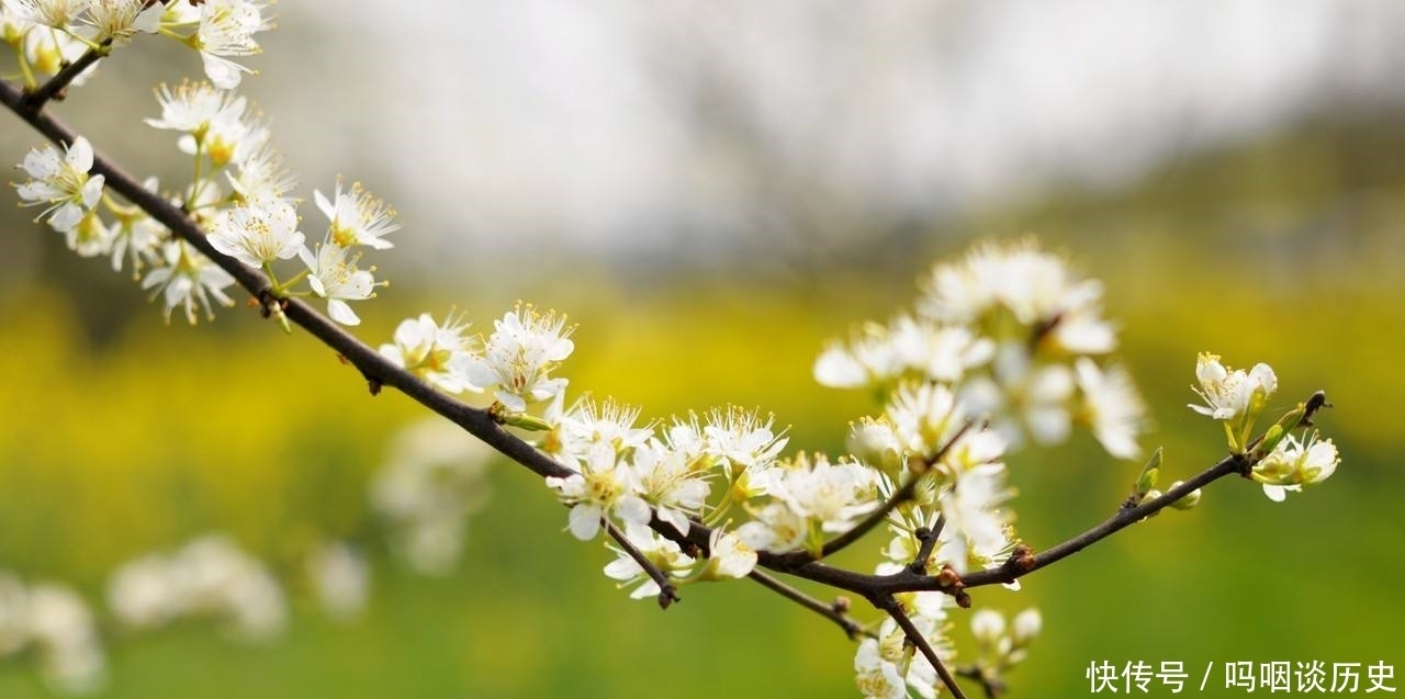 俗语|俗语:“得饶人处且饶人”,重点在下半句,可惜少为人知!