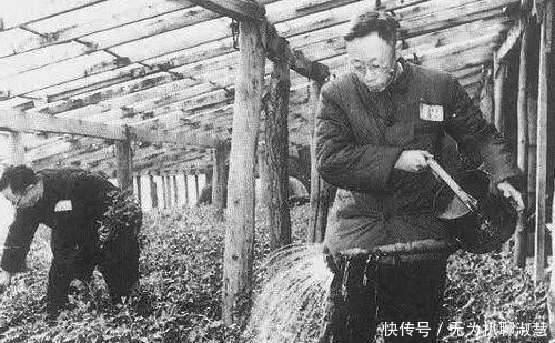 马上|溥仪第一次发工资足足60块钱，马上跑去买2件东西，不愧是皇帝