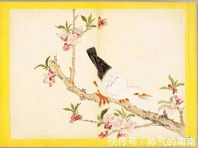 画谱！《百花鸟图》选页欣赏