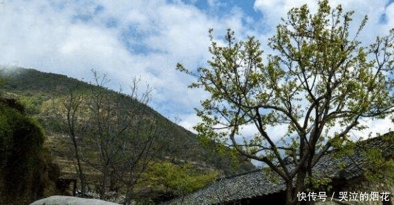 微风|与微风同游，一同欣赏古镇的美，一起等待星空的闪烁