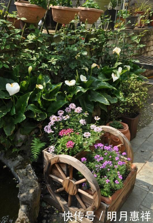 100㎡屋顶打造“花园露台”,网友直呼太壮观了,仿似人间仙境