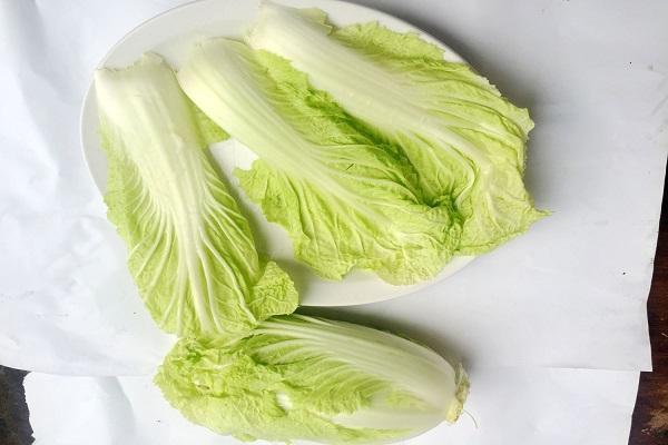 癌症|容易得癌的人,的确有共性,但并不是烟酒,望你能早点避开