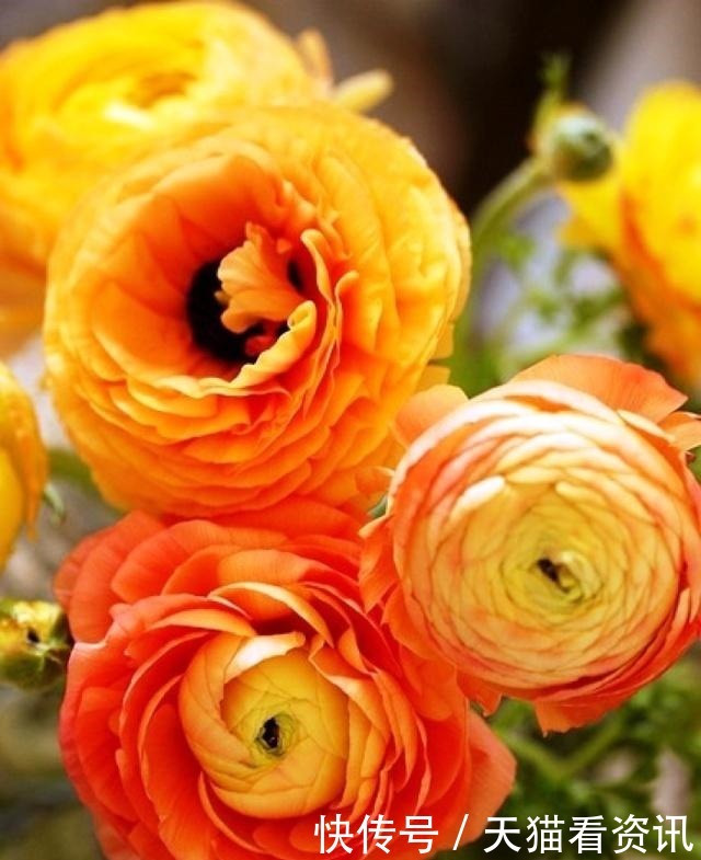  经典语录|激励人心的经典语录，句句有内涵，读读受益匪浅