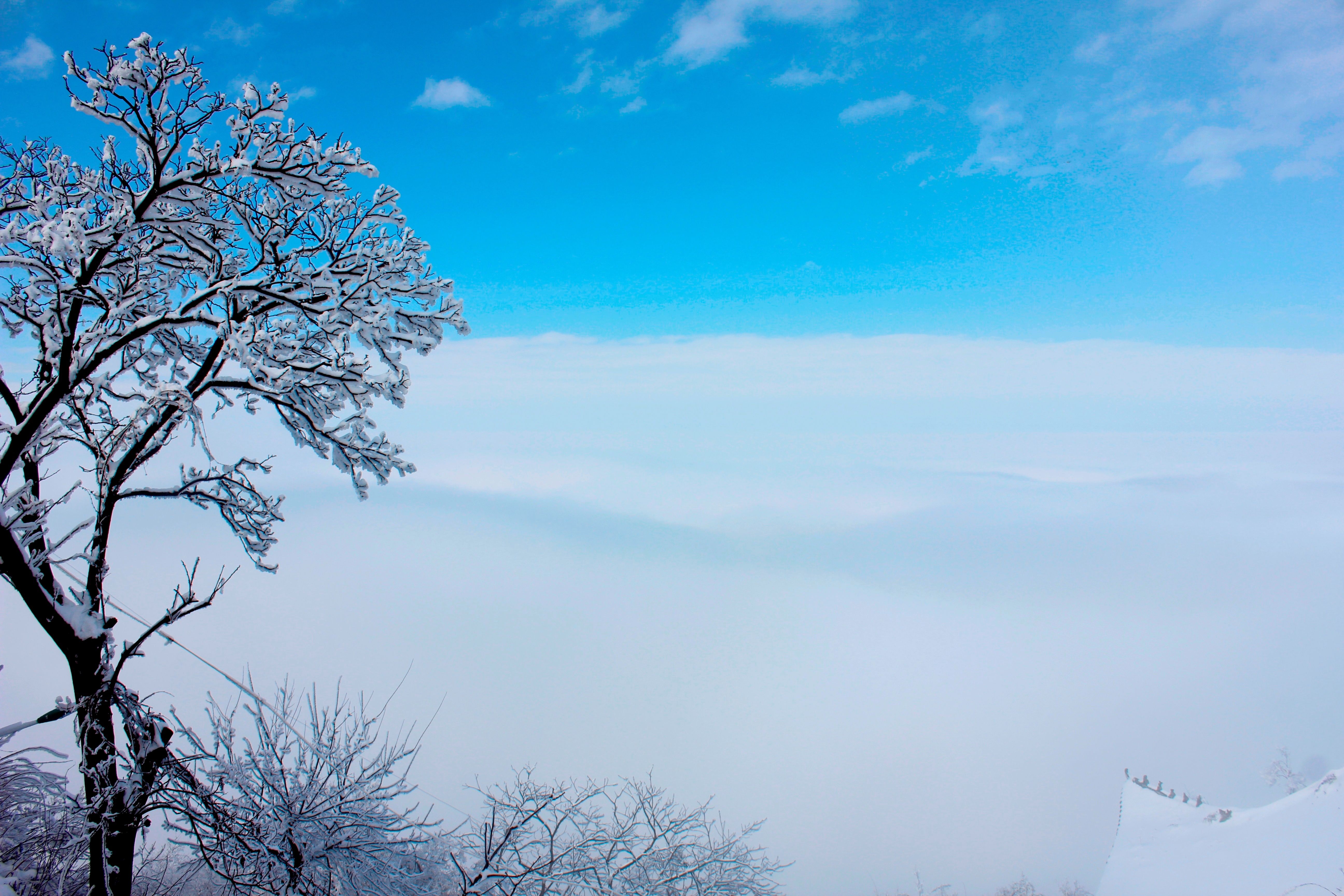 征集|【年末福利征集】雪后南五台幸遇云海