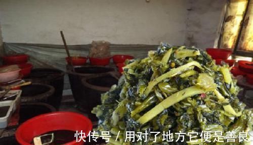 食物|“我下楼买个葱”,孕妇出门30分钟仍未回家,丈夫找到后心里一酸