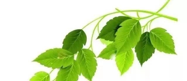 哲学|汉字里的处事哲学,看了真长见识!收藏起来,以后找不到了